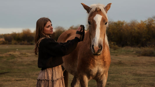 Woman in the Woodland Sweater in Peat brushing a haflinger horse in a field. 