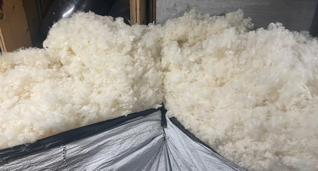 Undyed wool bagged, and ready to be carded