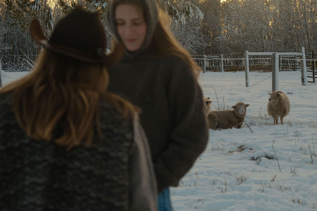 Two people standing in a snowy field with sheep nearby
