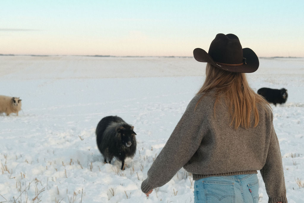 Person in a cowboy hat and Marty Lynn sweater standing in a snowy field with two sheep.