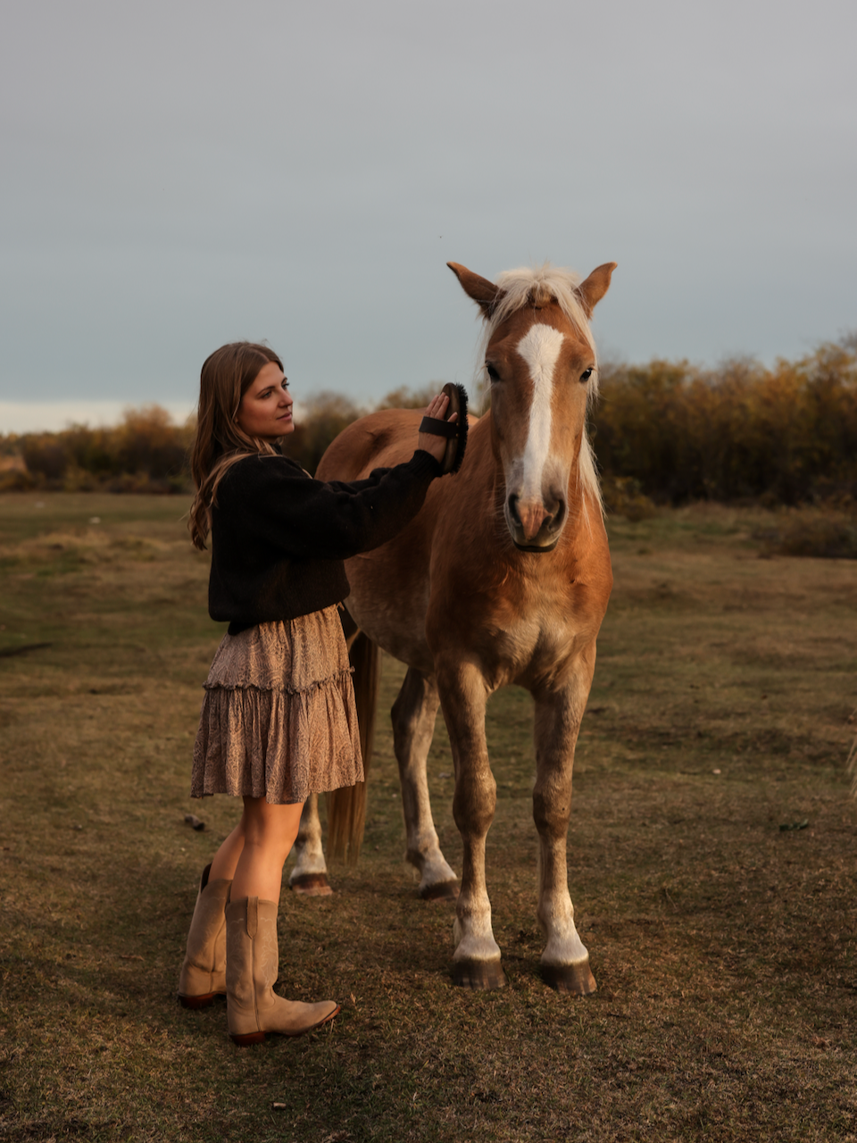 Woman petting a horse in an open field wearing The Woodland Sweater in Peat